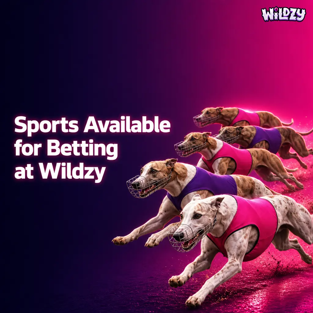 Wildzy sportsbook covering 30+ sports including football, horse racing, darts, cricket, basketball, tennis and esports markets